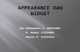 Appearance Dan Widget