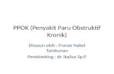 Ppt Css Ppok
