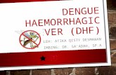 Dengue Haemorrhagic Fever (Dhf) Final