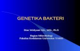 Genetika Bakteri (Revised)