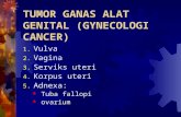 12 . Tumor Ganas Alat Genital Baru