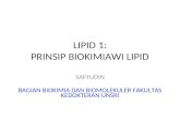 It 12-Metabolisme Lipid