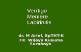 Vertigo, Meniere, & Labirinitis.ppt