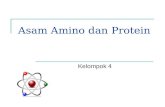 Asam Amino dan Protein.ppt