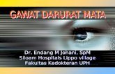 Gawat Darurat Mata by Dr Endang