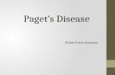 Ppt Paget Disease 14
