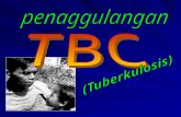 1. Materi TB