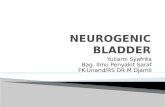 Neurogenic Bladder1