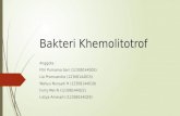 Bakteri Khemolitotrof.pptx