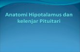2003 Anatomi Hipotalamus dan kelenjar Pituitari.ppt
