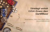 2015 CISA Strategi