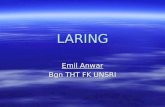 Emil-LARING kul.1.ppt