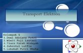 Transport Elektron