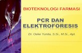 Bioteknologi, Minggu 10, PCR & ELP
