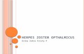 Herpes Zooster Opthalmica