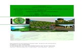 Cover Green Space Of Malimbu