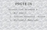 Ppt Protein Kimia