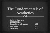 The Fundamentals of Aesthetics