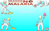 Lapsus Dalam - Malaria GT