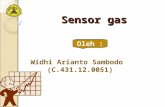 Sensor GAs