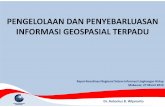 Informasi Geospasial Indonesia