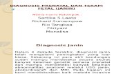 Diagnosis Prenatal Dan Terapi Fetal (Janin)