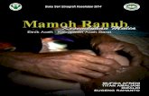 Mamoh Ranub Kesembuhan Mulia; Riset Ethnografi Kesehatan 2014 Aceh Barat