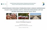 Singkronisasi RPJM Pusat Dan Daerah Serta Aahan Kebijakan Untuk RPJMD Provinsi Papua 2013-2018