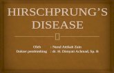 Presus hirschprung disease.ppt