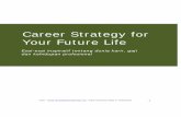 eBook - Career Strategy Dan Standar Gaji