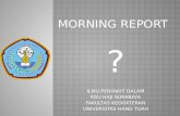 Morning Report Interna