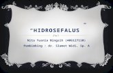 Hidrosefalus - Nita