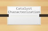 3. Catalyst Characterization