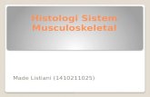 Histologi Otot.pptx