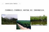 Formasi Hutan Di Indonesia