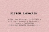 Kelompok11-Sistem Endokrin.pptx