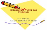 Metabolisme Purin Dan Pirimidin2