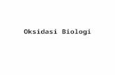 Oksidasi biologi