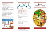 proteinas triptico