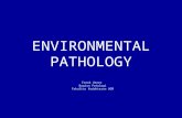 Environmental Pathology 2012