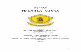 Malaria Vivax