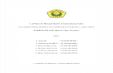 Laporan Praktikum Farmakognosi Piperis Nigri Fructus(1)