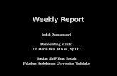 Weekly Report