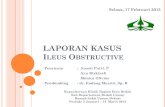 Case Report Ileus Obstruktif