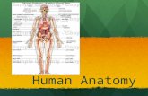 Biomaterial 1 (Human Anatomy)
