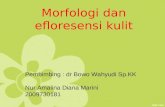 Refreshing Morfologi Dan Efloresensi Kulit