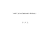 IT 08 Metabolisme Mineral