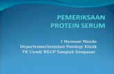Pertemuan 3-Pemeriksaan Protein Sem 4