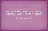 Metabolisme Protein, Purin, Pirimidin, Dan