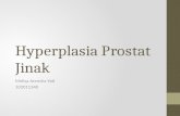 Hyperplasia Prostat Jinak
